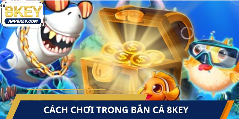 Hướng dẫn cụ thể cho người mới