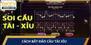 Cách Bắt Đảo Cầu Tài Xỉu
