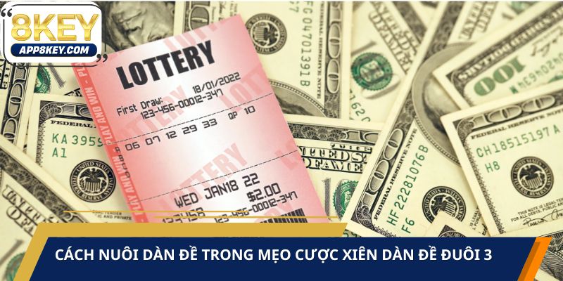 Hướng dẫn cách nuôi dàn đề hiệu quả